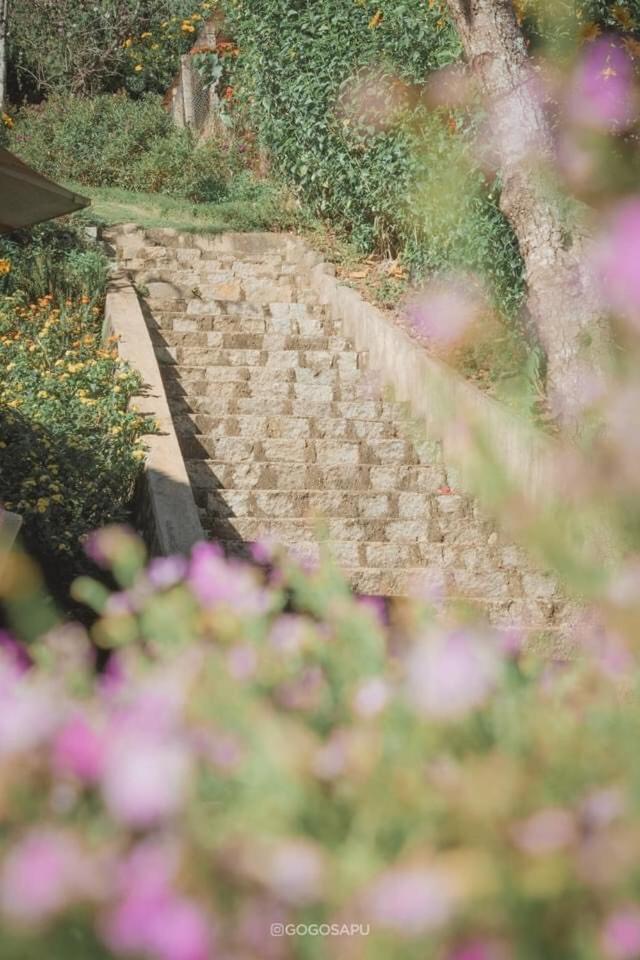 Biet Thu Trang Da Lat Villa Ngoại thất bức ảnh