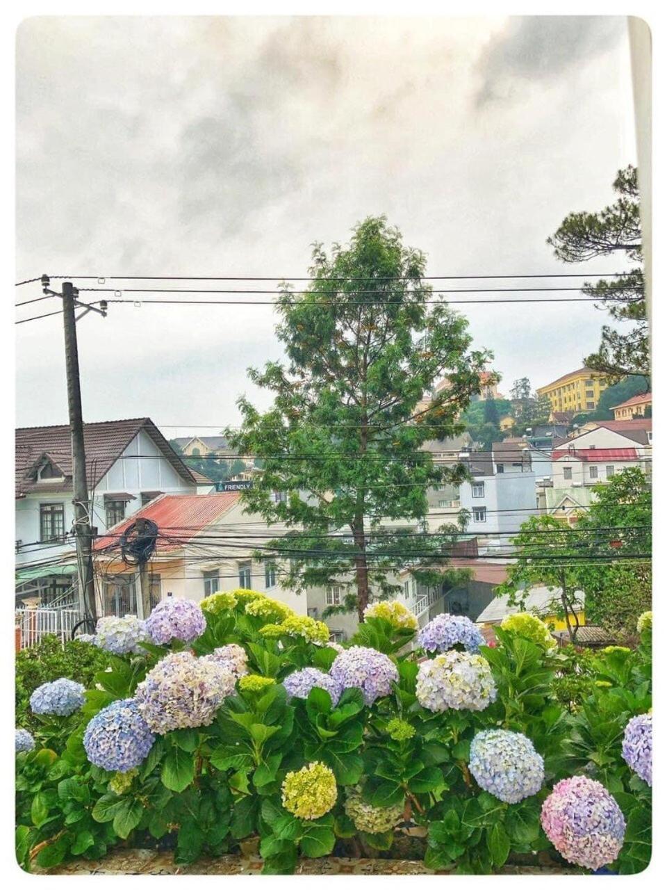 Biet Thu Trang Da Lat Villa Ngoại thất bức ảnh